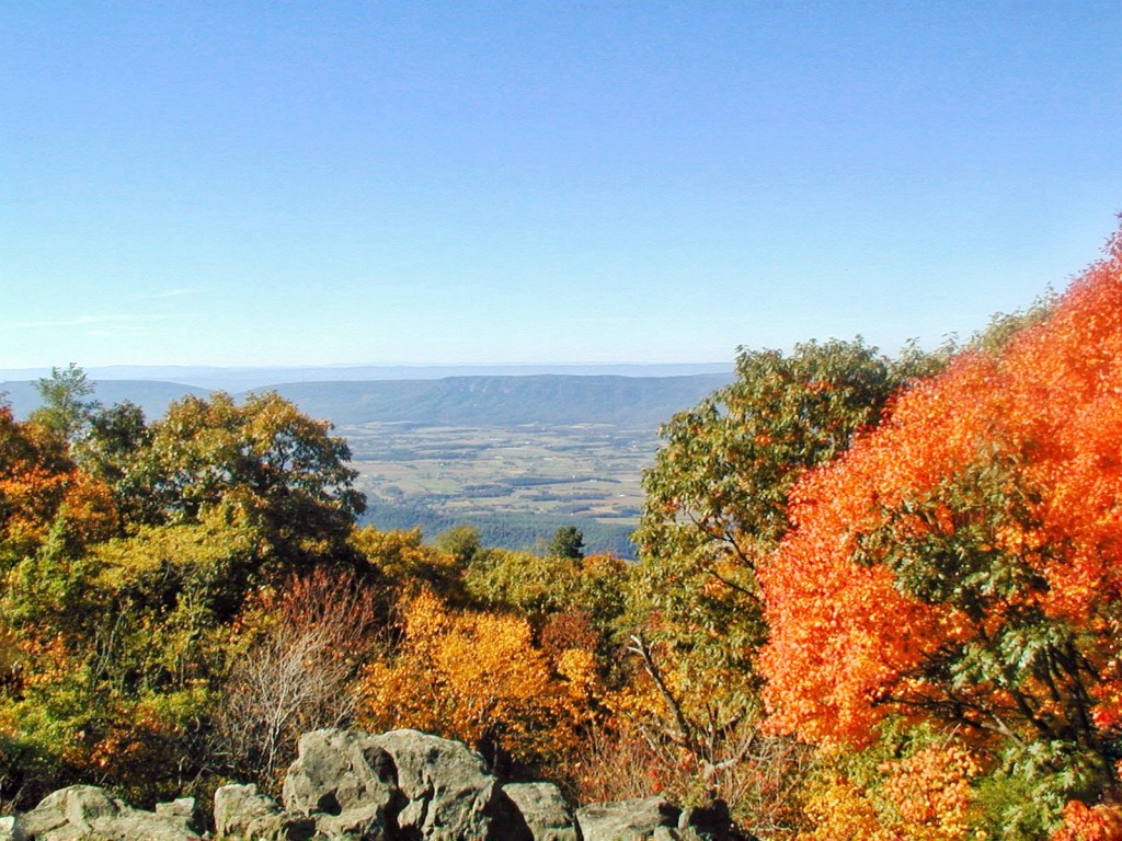 Vantage Point Shenandoah Valley