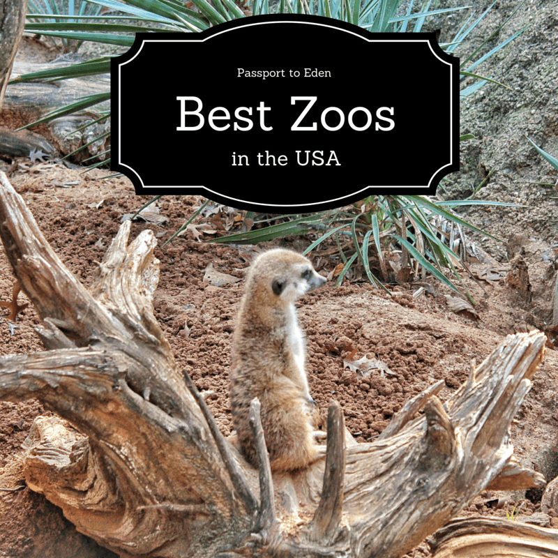 Best Zoos in North America FeatImage Passport To Eden