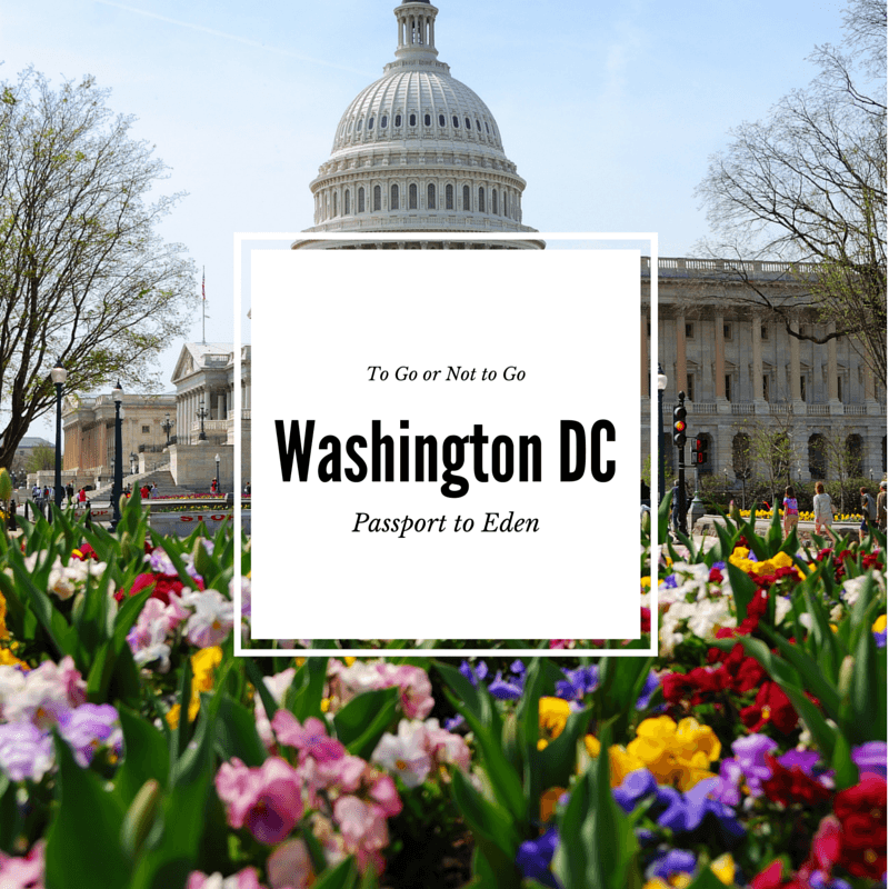 Best Time to Visit Washington DC Passport to Eden
