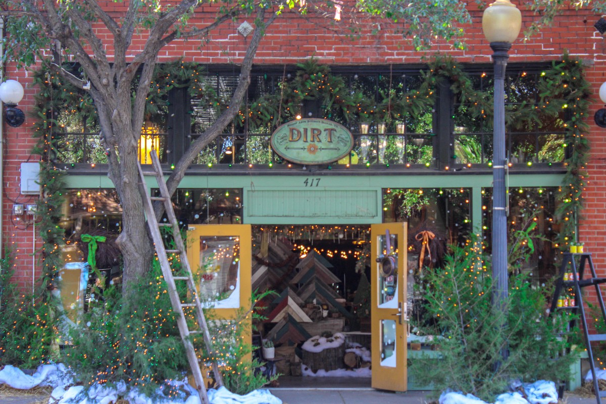 This is the storefront of Dirt in Bishop Arts District. The storefront entrance is bright green (though the building is brick), including the shrubs outside. It looks very festive.