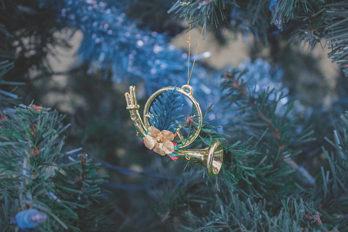 33+ Passport Christmas Tree Ornament 2021