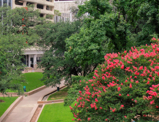 Prettiest places in Texas thanksgiving square dallas