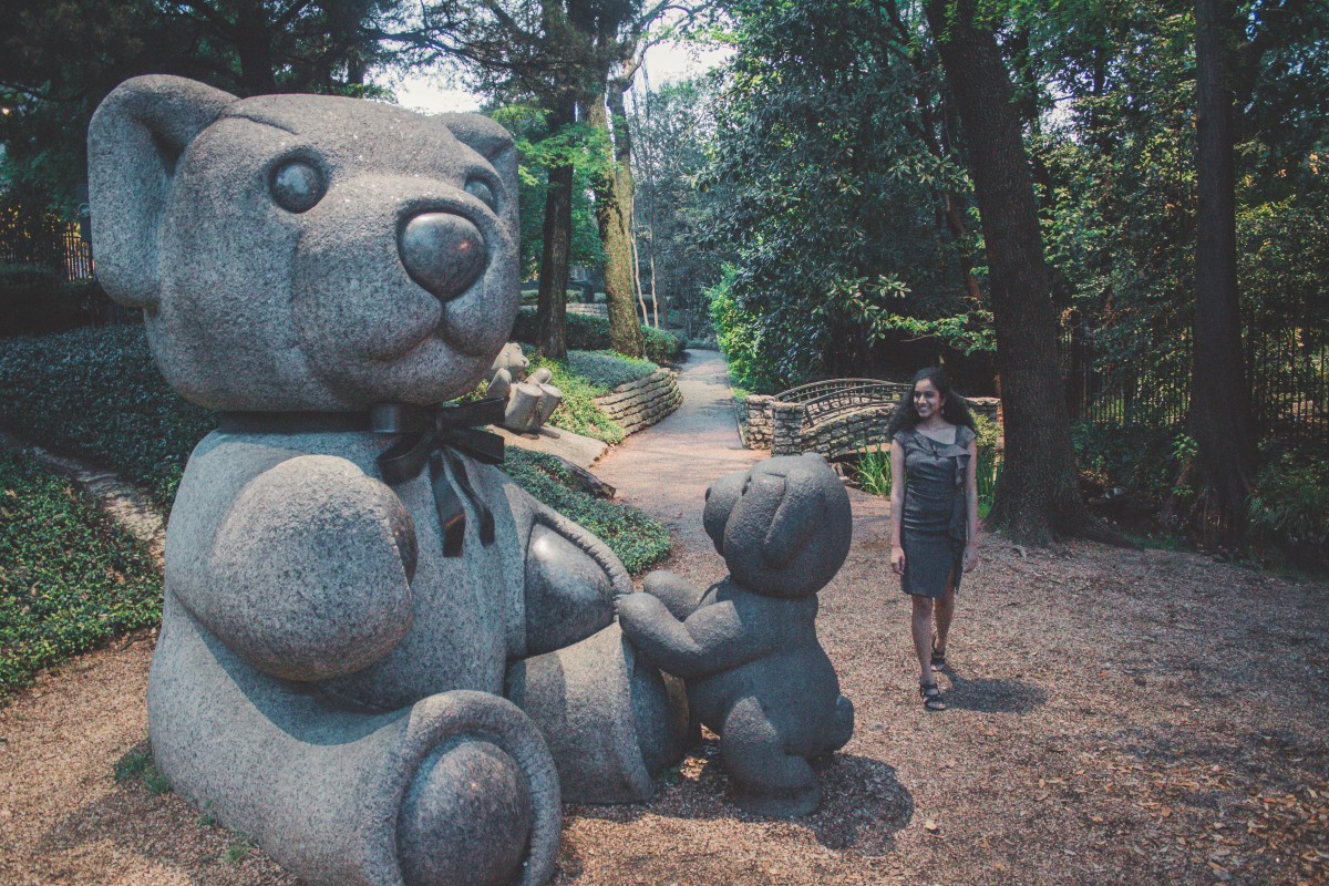 Teddy Bear Park Dallas featured image