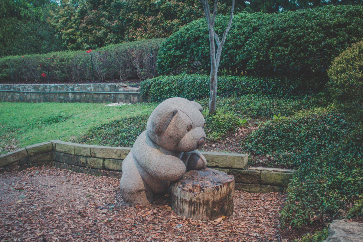 A small baby bear looking at a tree stump in Teddy Bear Park in Dallas. 