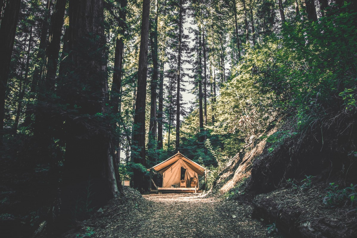a luxury tent pitched in a forest showing glamping (different from champing)