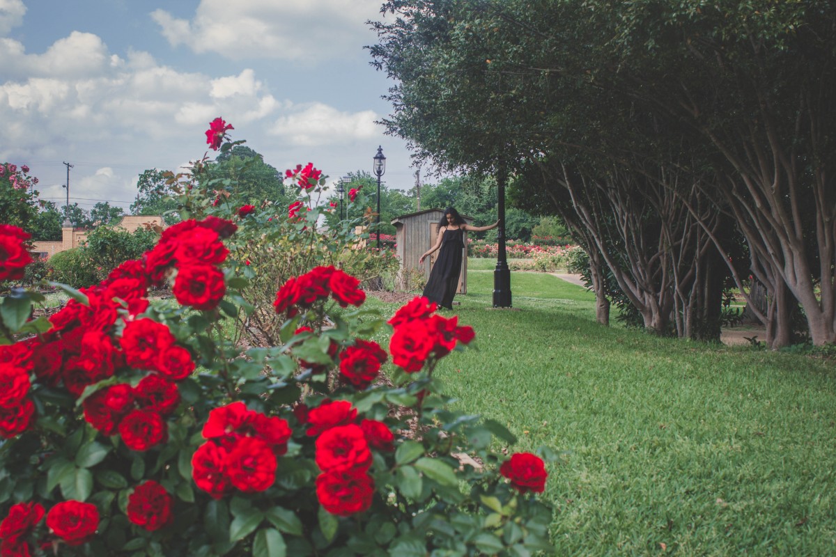 Visiting Tyler Rose Garden whilst on an east Texas road trip