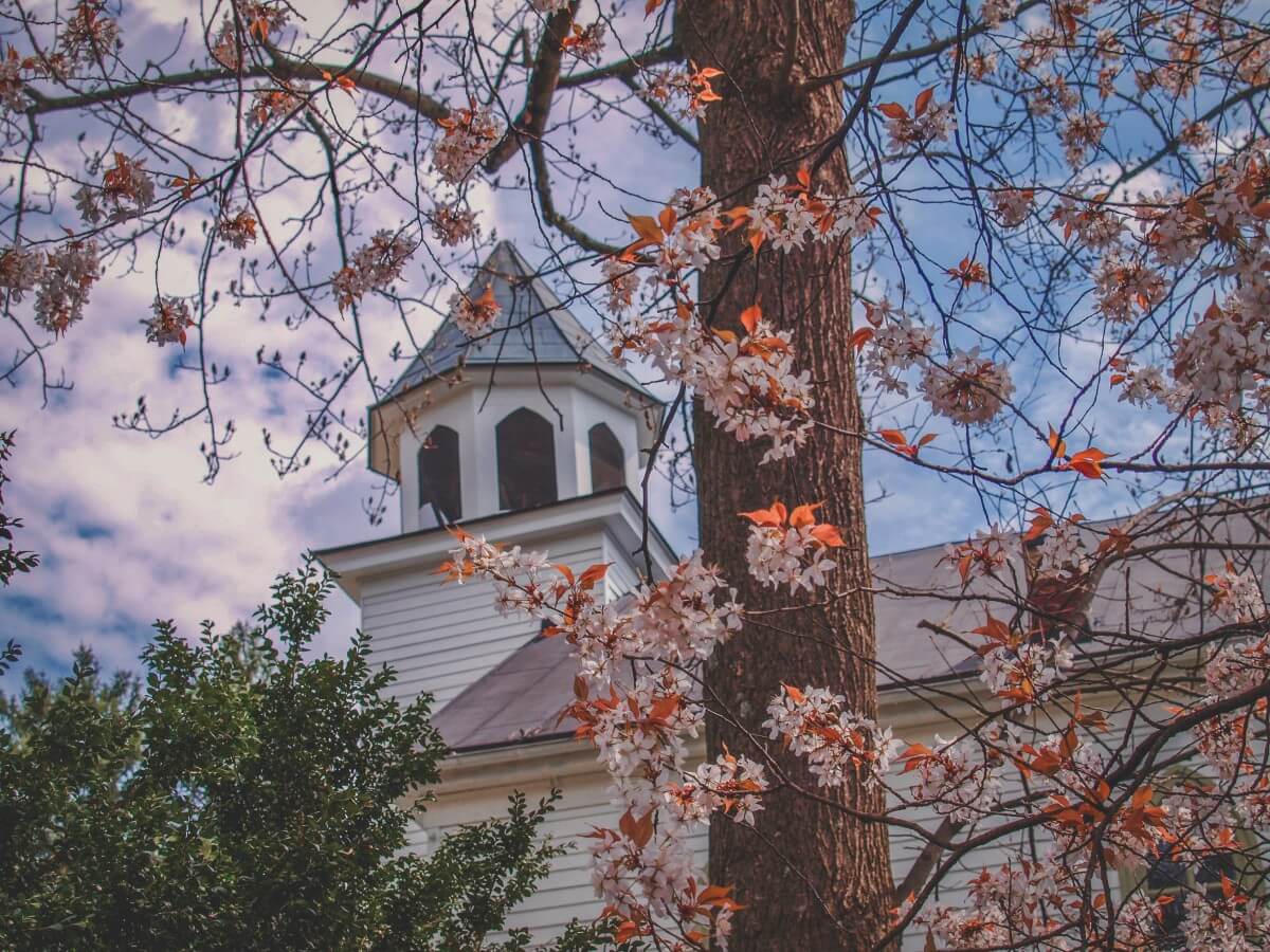 Photo of a steeple covered by flowers in a pretty small town in Virginia