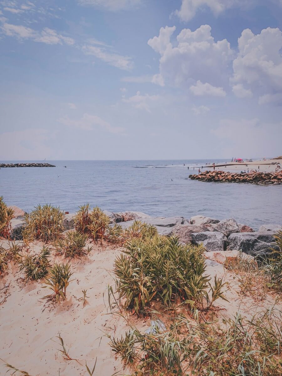 Virginia coastline meets light blue water