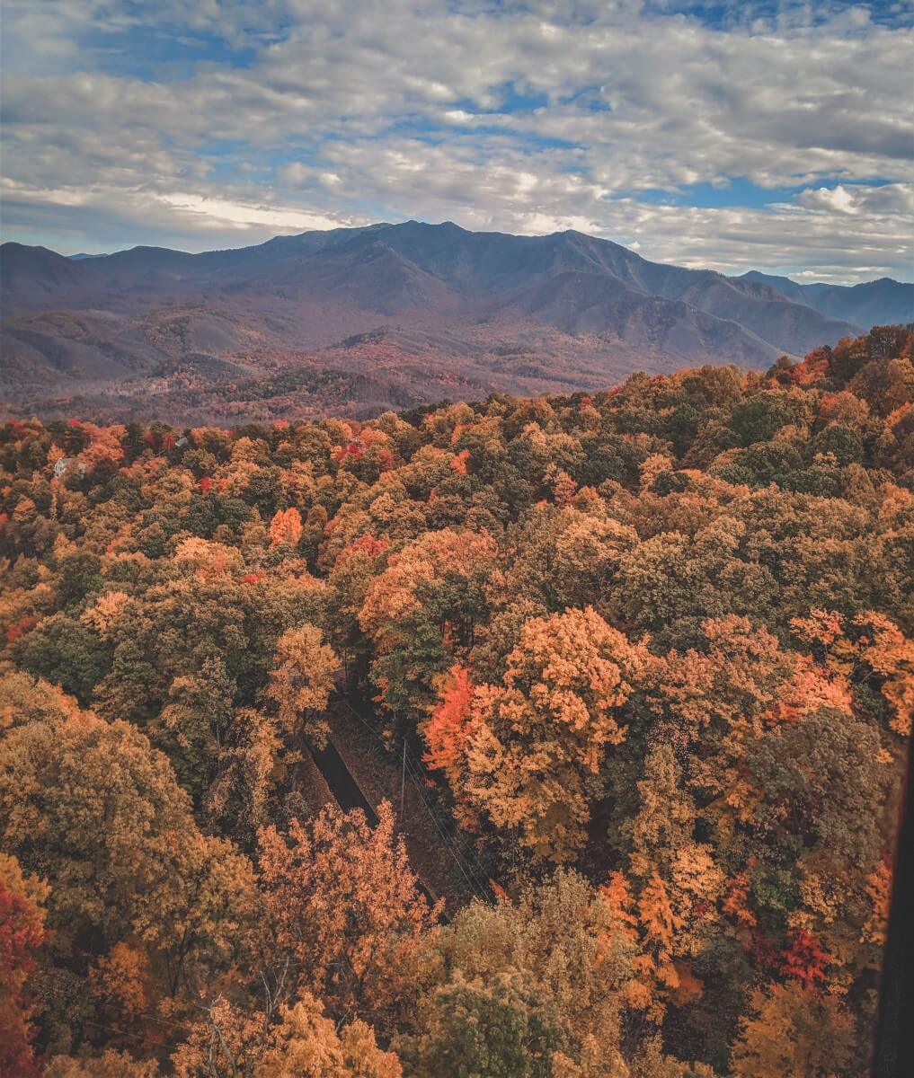 Fall colors that show why Tennessee is one of the prettiest states to visit