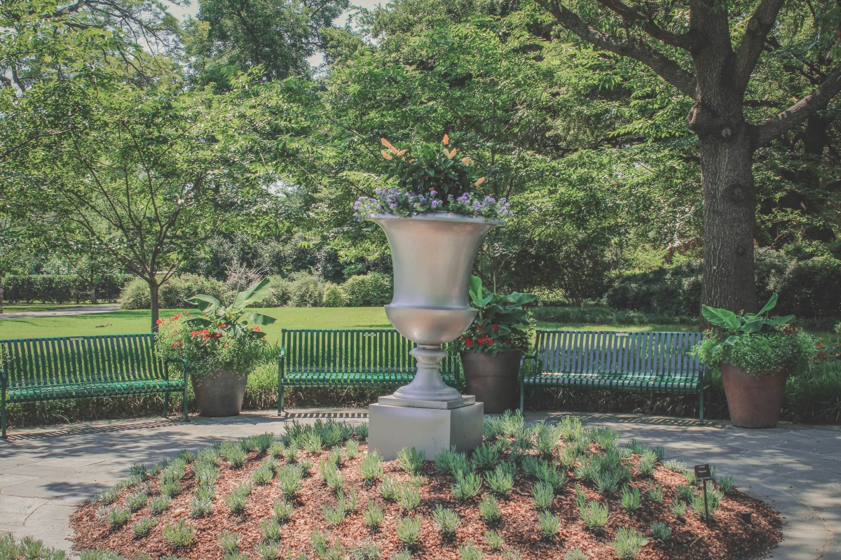 Dallas Arboretum flowers in spring