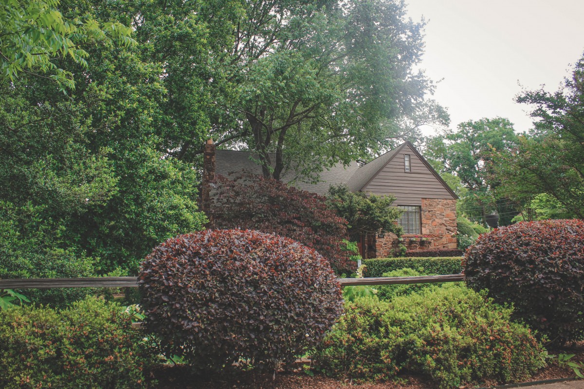 Things to do in East Texas: Azalea trail
