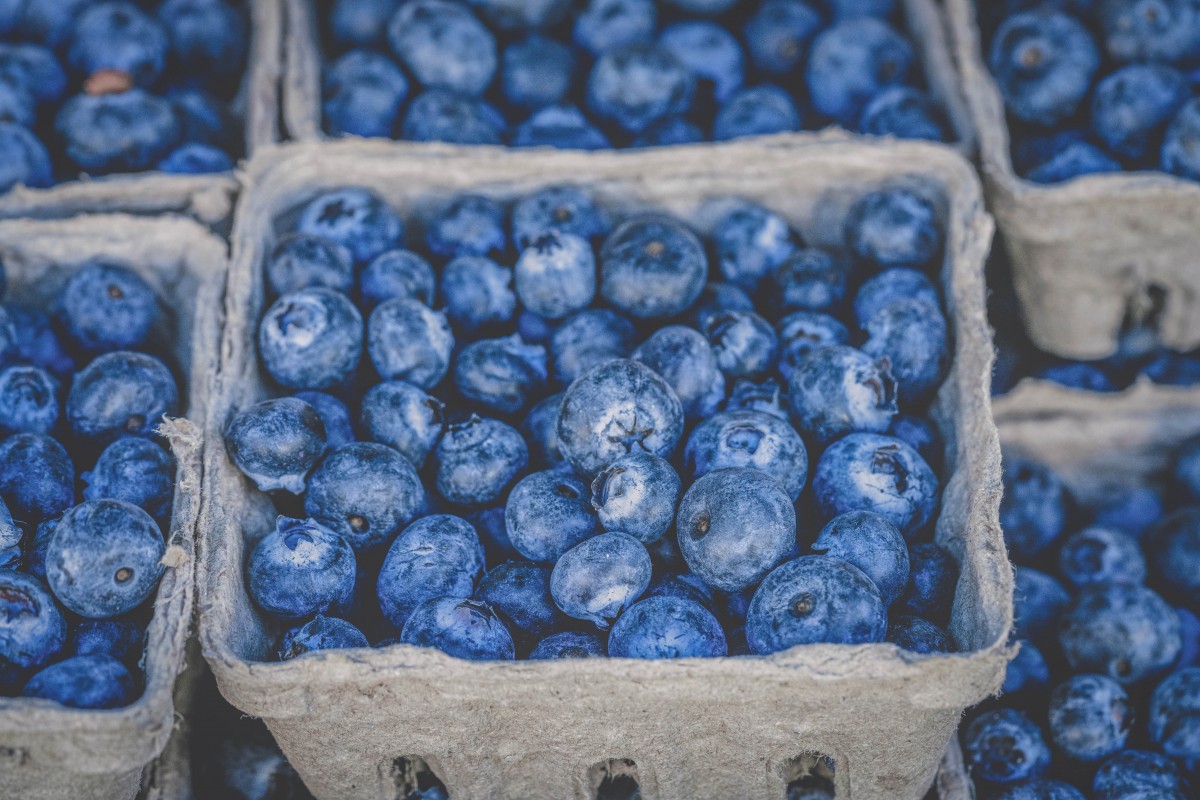 Things to do in East Texas: boxes of blueberries