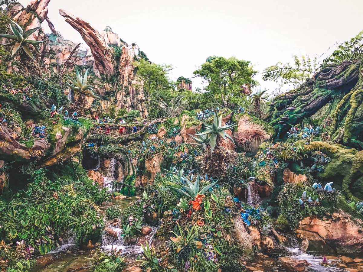 One Day In Animal Kingdom Itinerary | Passport To Eden