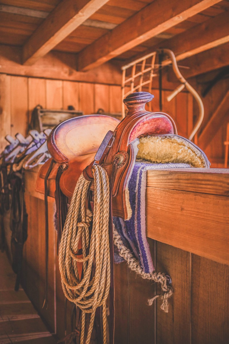 stock photo of a saddle shop