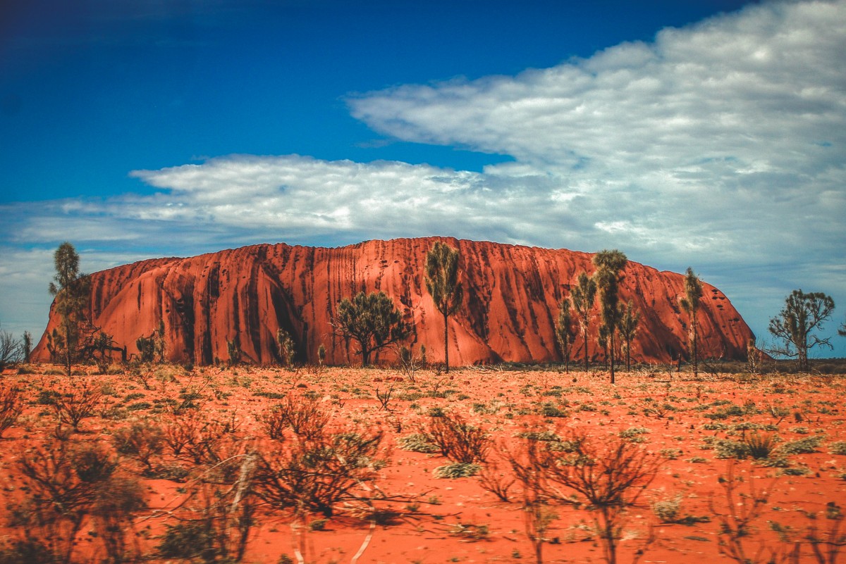 Eden Travel Book Club August Picks Passport To Eden