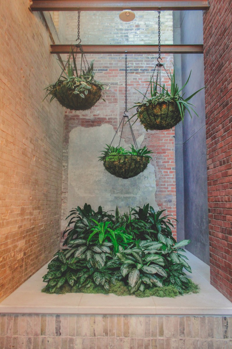 Pearl District San Antonio - plants at Hotel Emma