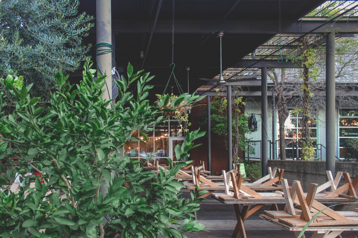 Pearl District San Antonio - Green Vegetarian Cuisine