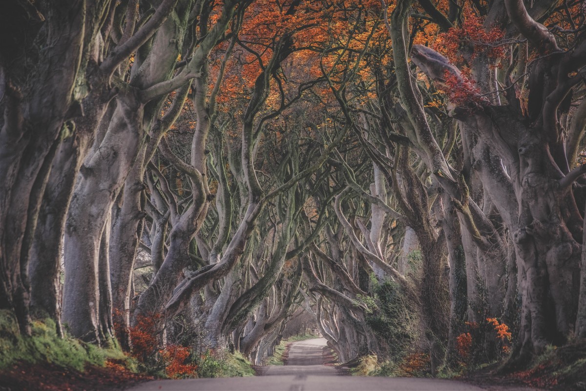 road trip questions for couples - fantasy Game of Thrones scene for a series of fantasizing travel road trip questions for couples