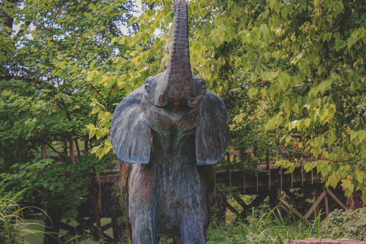 Things to do in St. Louis: elephant statue at the St. Louis Zoo
