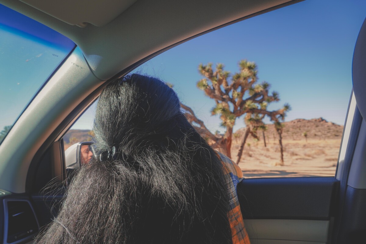 Joshua Tree National Park Scenic Drive: one of the top things to do in Joshua Tree