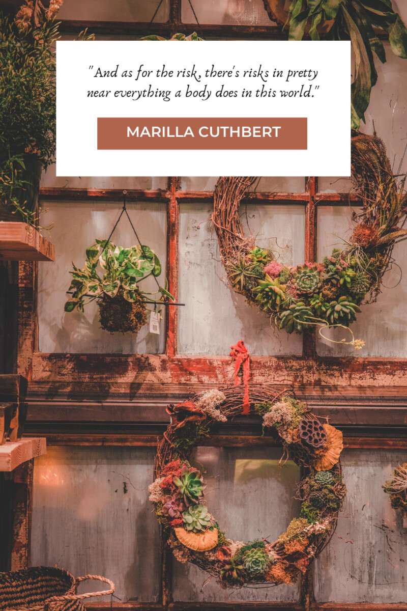"And as for the risk, there's risks in pretty near everything a body does in this world." - Marilla Cuthbert (pg. 10)