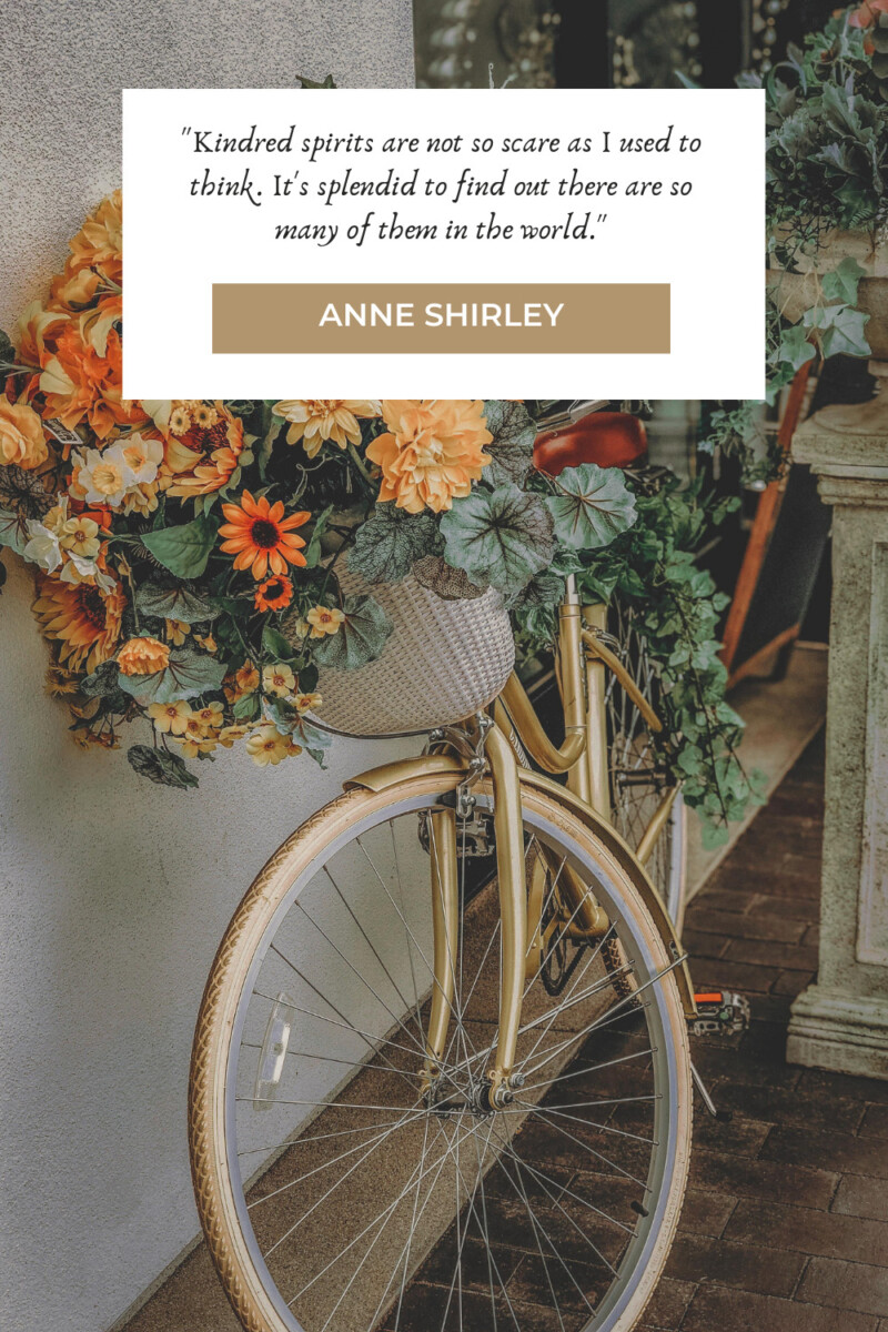 "Kindred spirits are not so scare as I used to think. It's splendid to find out there are so many of them in the world." - Anne Shirley (pg. 221)