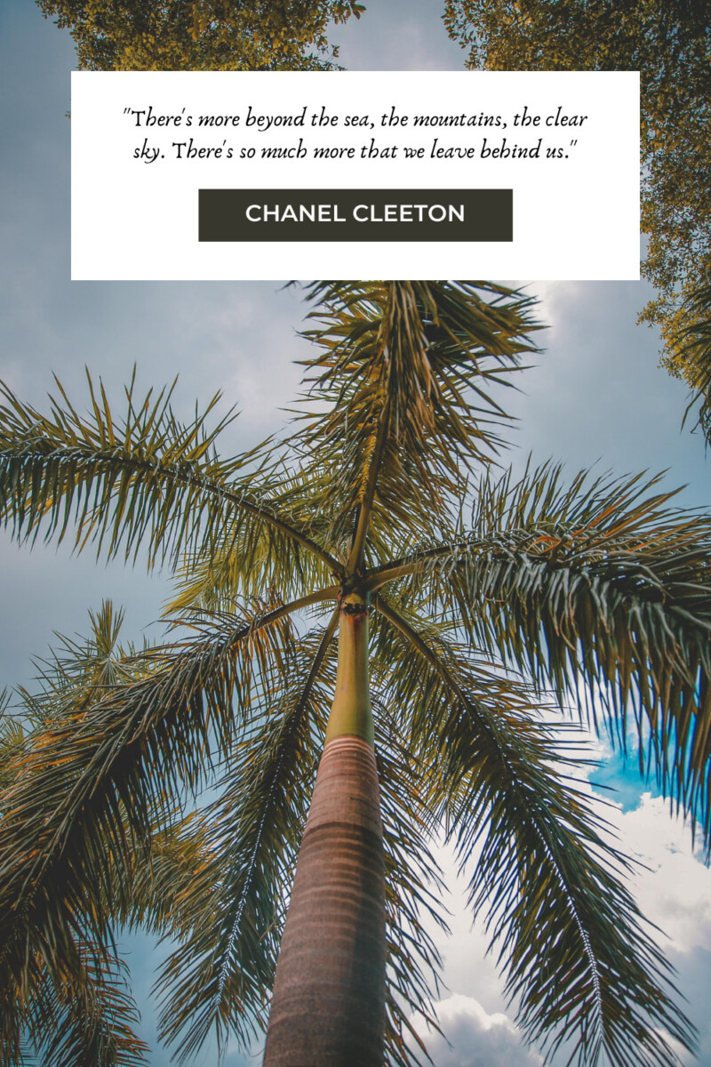 More Cuba quotes by Chanel Cleeton