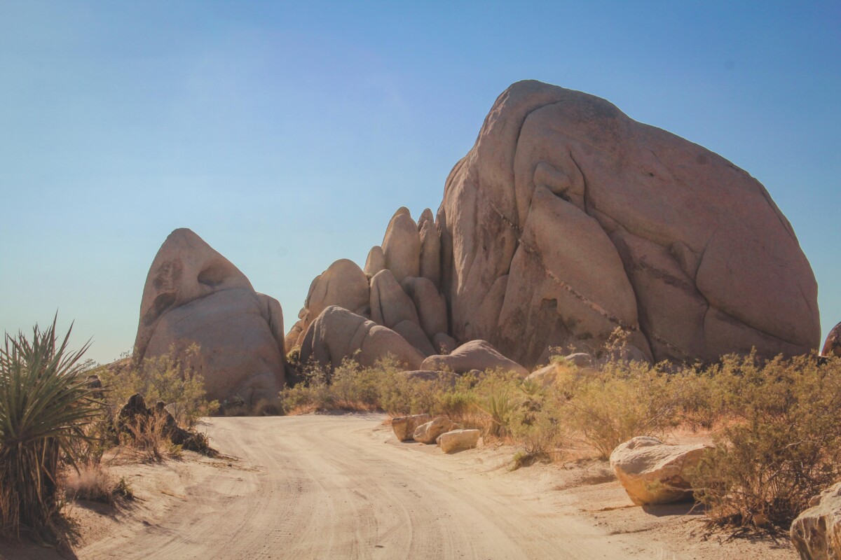 road to campground in Joshua Tree National Park