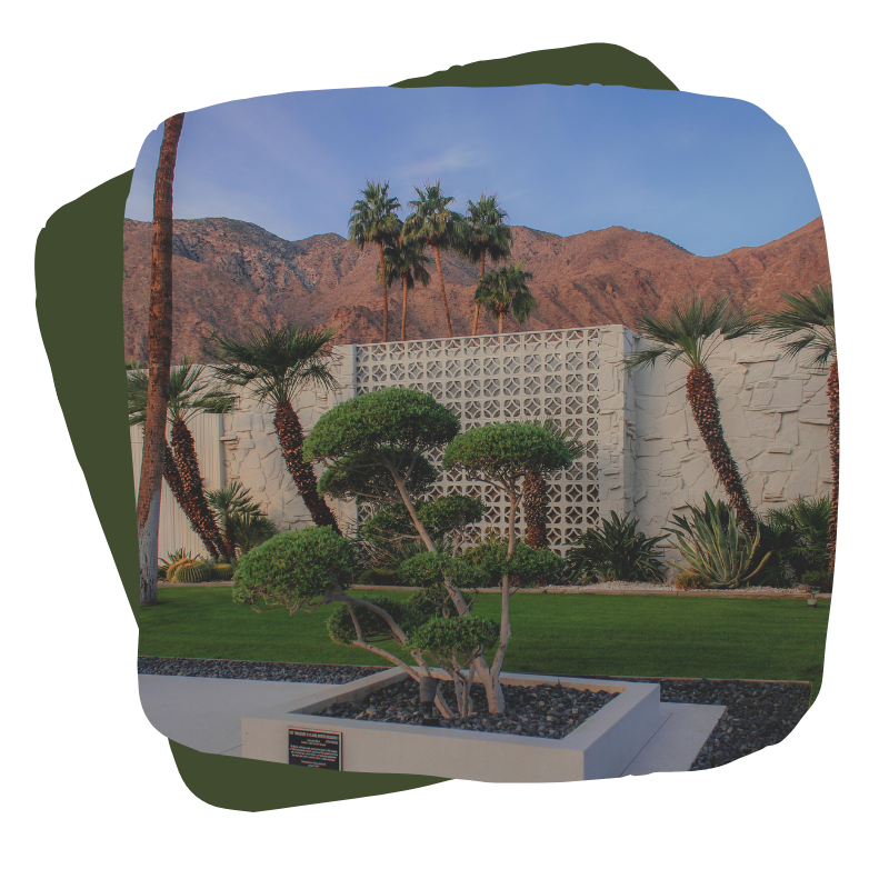 Palm Springs Architecture Tour: Morse House