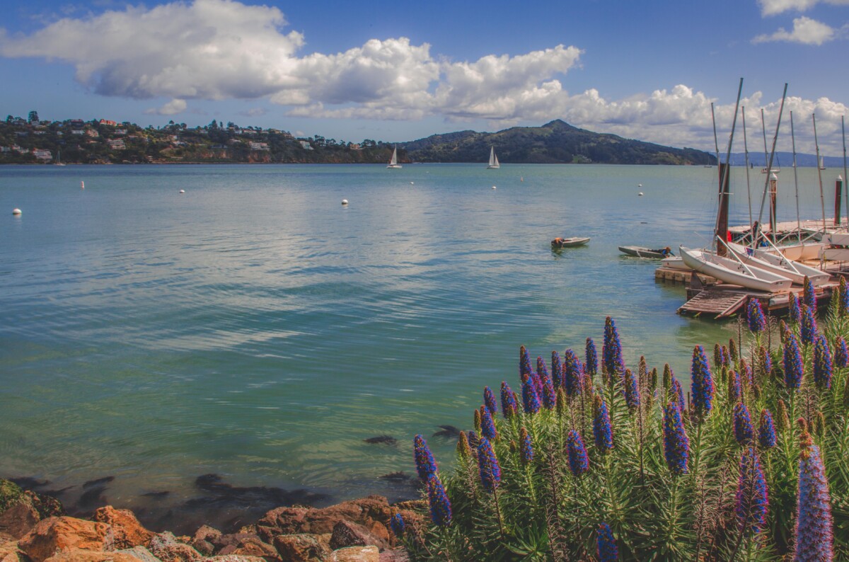 day trips from San Jose : Sausalito
