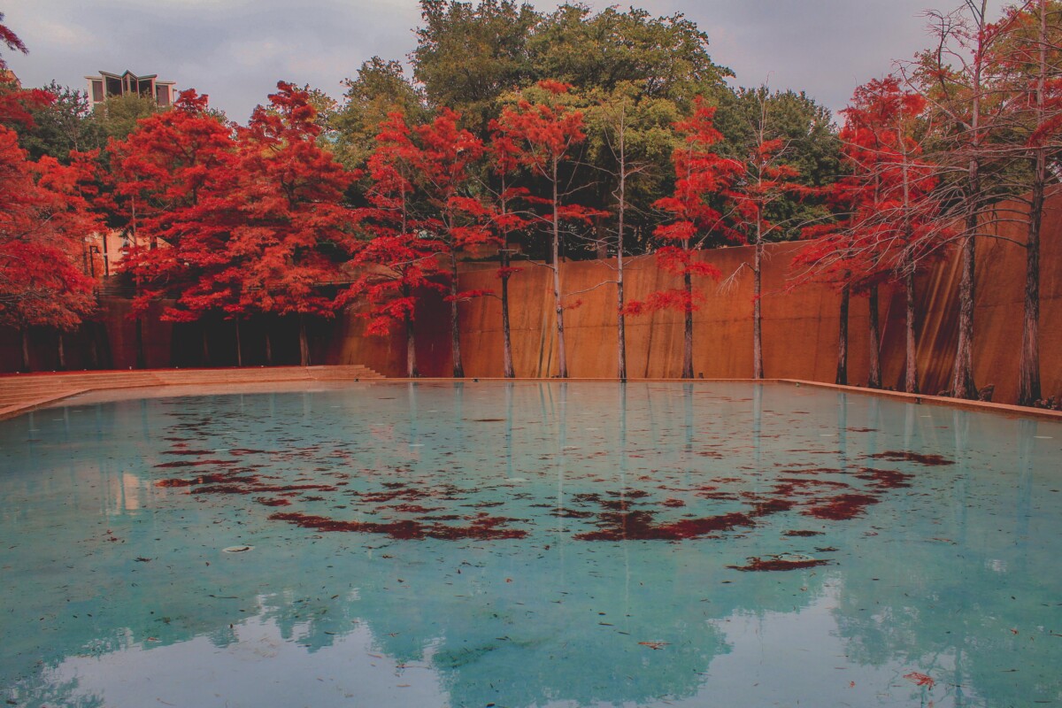 one of Fort Worth's Water Gardens, one of the prettiest day trips from Dallas
