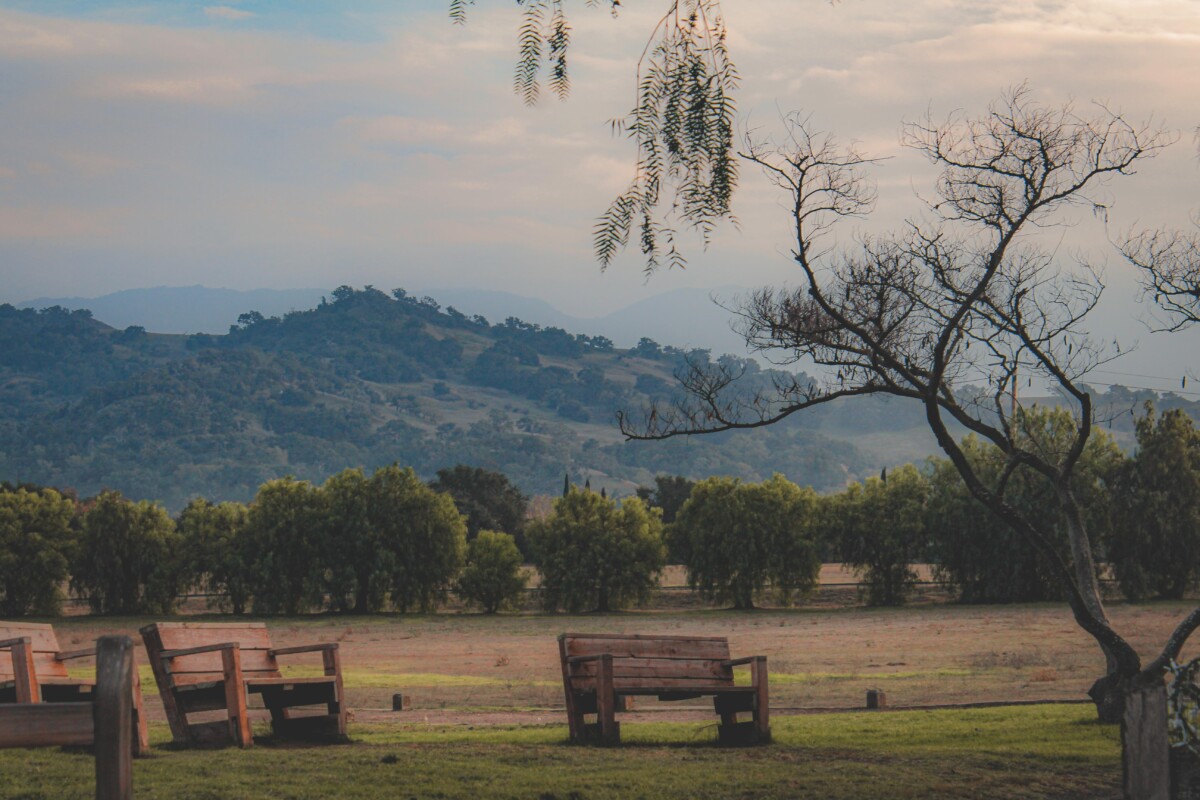 best things to do in Solvang header image