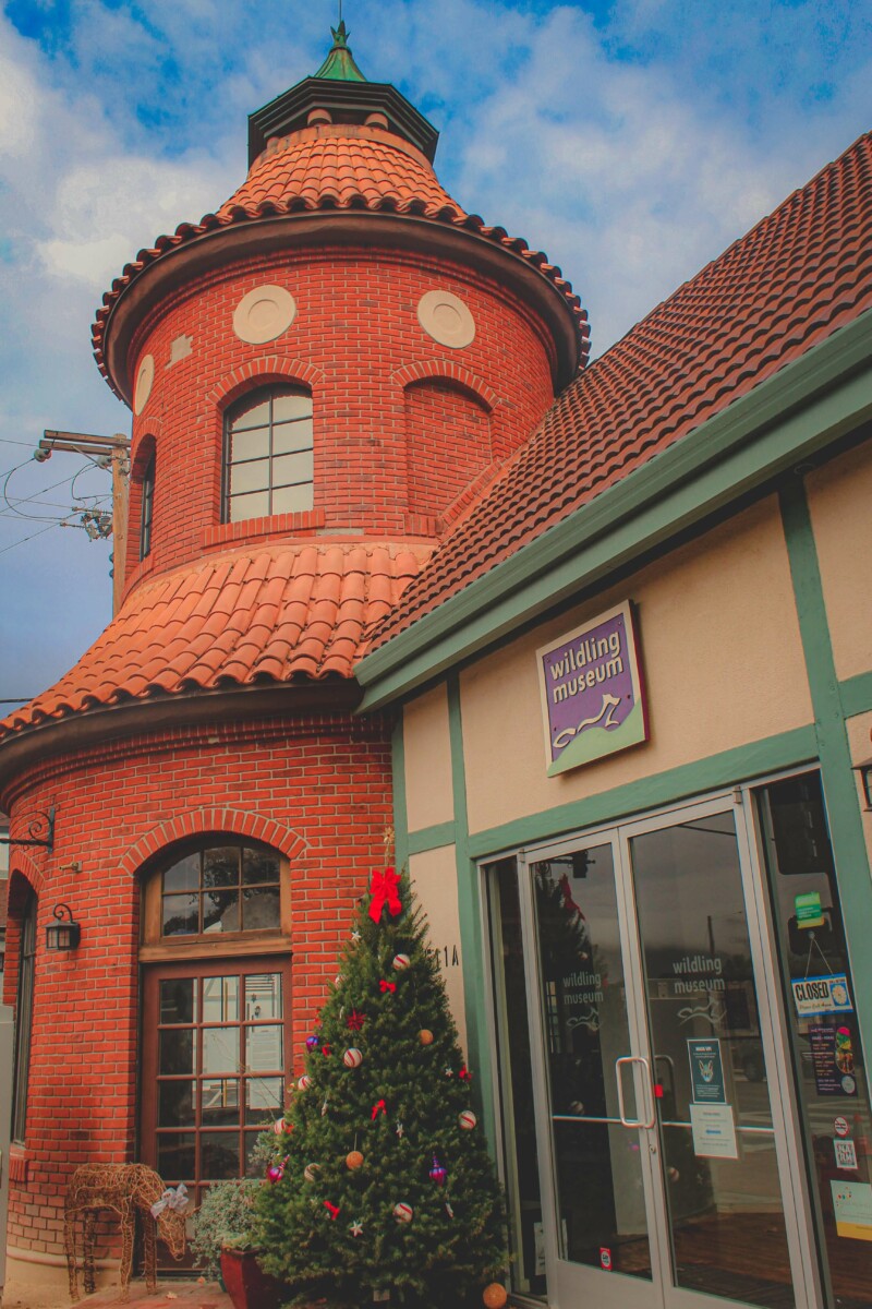 Wilding Museum