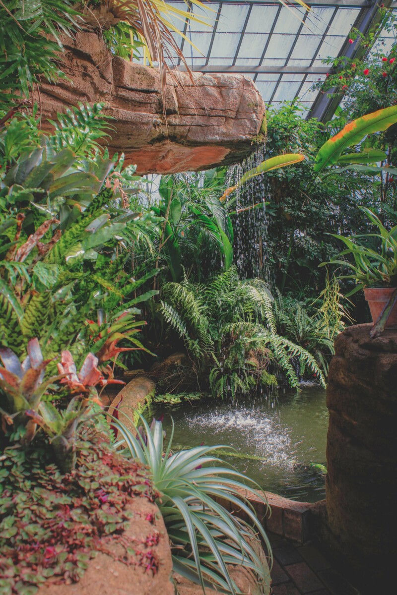 Garfield Park Conservatory, one of the best hidden gems in Indianapolis