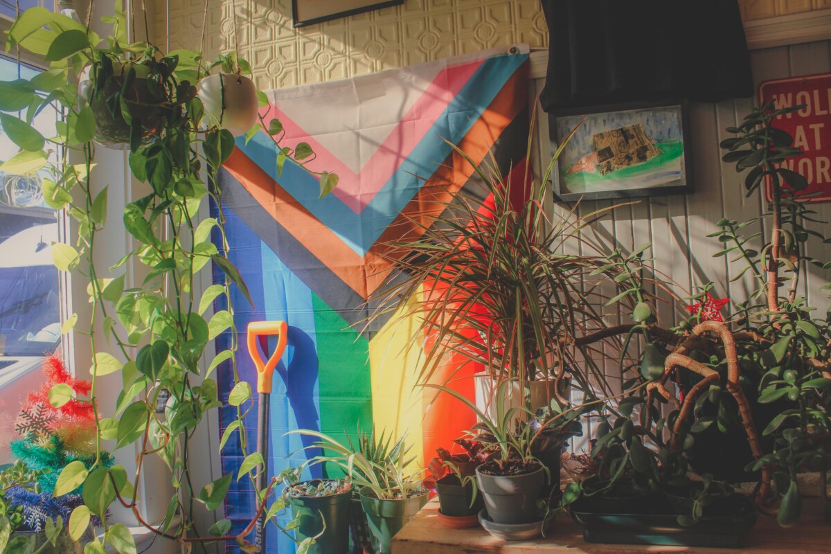 plants and wall covering at Wolf Next Door, one of the most popular coffee shops in Salem