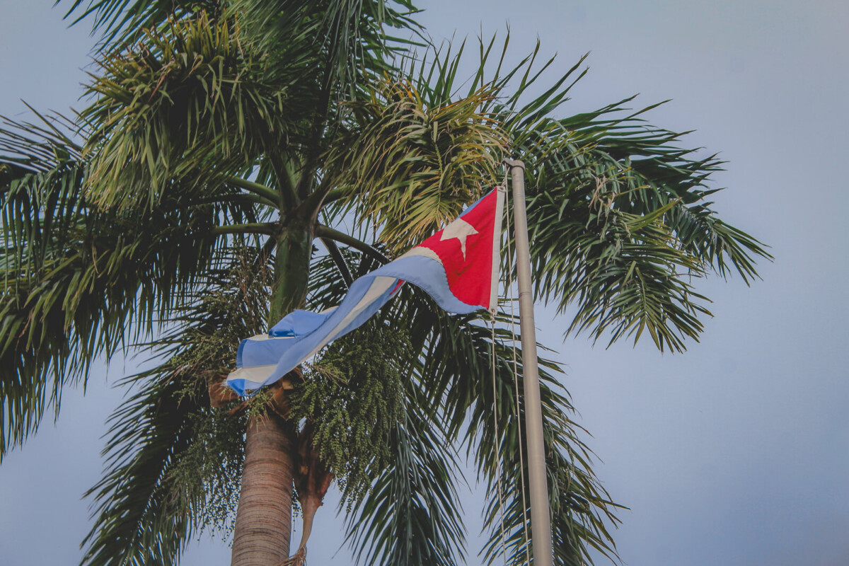 Cuban flag fanning in the breeze below a palm tree